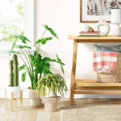 Cheap π Sandy Modern Plant Pedestal - Threshold™ π