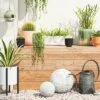 Flash Sale ❤️ Iron Indoor/Outdoor Planter with Stand White/Black - Project 62™ 🎁