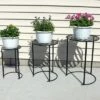 Cheapest 💯 Sunnydaze Decor Sunnydaze Indoor/Outdoor Iron Metal Modern Nesting Plant Stand for Flowers and Plants - 22" - Black - 3pk ✔️ 1 Cheapest 💯 Sunnydaze Decor Sunnydaze Indoor/Outdoor Iron Metal Modern Nesting Plant Stand for Flowers and Plants - 22" - Black - 3pk ✔️ -Planters Sales Store unnamed file 7022