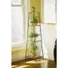 New 🎉 Branch Plant Stand - Gardener's Supply Company 💯 -Planters Sales Store unnamed file 7054