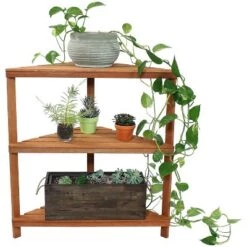 Outlet ❤️ Sunnydaze Decor Sunnydaze Indoor/Outdoor Meranti Wood with Teak Oil Finish 3-Tiered Corner Flower Plant Stand Shelf Display - 36" - Brown 👍 -Planters Sales Store unnamed file 7073