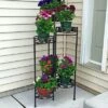 Coupon 🔥 Sunnydaze Decor Sunnydaze Indoor/Outdoor Metal Folding Decorative 6-Tiered Potted Flower Plant Stand Display - 45" - Bronze ⭐