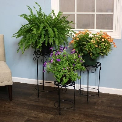 Promo โ Sunnydaze Decor Sunnydaze Indoor/Outdoor Iron Metal Potted Flower Plant Stand with Scroll Design - 24" - Black - 3pc ๐ 7 Promo โ Sunnydaze Decor Sunnydaze Indoor/Outdoor Iron Metal Potted Flower Plant Stand with Scroll Design - 24" - Black - 3pc ๐ - Image 5