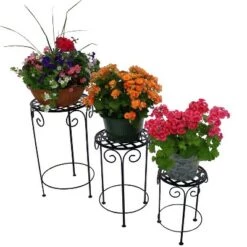 Promo โ Sunnydaze Decor Sunnydaze Indoor/Outdoor Iron Metal Potted Flower Plant Stand with Scroll Design - 24" - Black - 3pc ๐ 17 Promo โ Sunnydaze Decor Sunnydaze Indoor/Outdoor Iron Metal Potted Flower Plant Stand with Scroll Design - 24" - Black - 3pc ๐ -Planters Sales Store unnamed file 7122