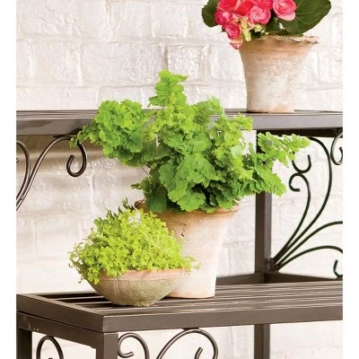 Best reviews of 😀 Plow & Hearth Set of 3 Nesting Metal Plant Stands with Scrollwork Design ❤️ 3 Best reviews of 😀 Plow & Hearth Set of 3 Nesting Metal Plant Stands with Scrollwork Design ❤️ - Image 2