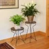 Promo ✨ 18.5"Hx16"W Round Roman Bronze Wrought Iron Capri Plant Stand Powder 🧥 Coated - ACHLA Designs ⭐ -Planters Sales Store unnamed file 7357