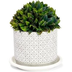 Flash Sale 💯 Farmlyn Creek 15 Pack Plastic Flower Pot Saucers, Drip Tray for Potted Plants, Round, White, 6" 🌟 -Planters Sales Store unnamed file 7367