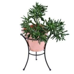 Flash Sale 🤩 14" Iron Multi-Use Stand for Planter, Birdbath, Gazing Ball Black - ACHLA Designs ⌛