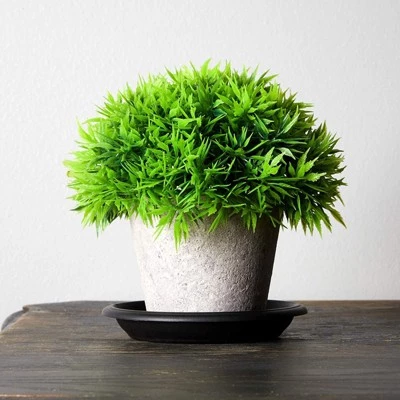 Discount 🔔 Juvale 24 Pack Round Plant Trays for Flower Pots Container (4 in, Black) 🥰 3 Discount 🔔 Juvale 24 Pack Round Plant Trays for Flower Pots Container (4 in, Black) 🥰