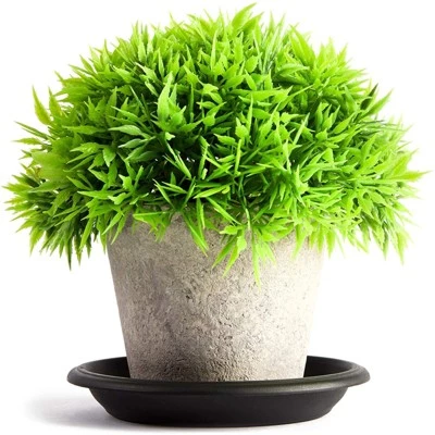 Discount 🔔 Juvale 24 Pack Round Plant Trays for Flower Pots Container (4 in, Black) 🥰 4 Discount 🔔 Juvale 24 Pack Round Plant Trays for Flower Pots Container (4 in, Black) 🥰 - Image 2