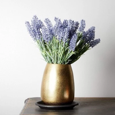 Budget ๐งจ Juvale 15 Pack Round Black Plant Saucer Drip Trays Garden Plastic Pot Base Container 6" โ๏ธ 3 Budget ๐งจ Juvale 15 Pack Round Black Plant Saucer Drip Trays Garden Plastic Pot Base Container 6" โ๏ธ