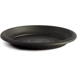 Budget ๐งจ Juvale 15 Pack Round Black Plant Saucer Drip Trays Garden Plastic Pot Base Container 6" โ๏ธ 8 Budget ๐งจ Juvale 15 Pack Round Black Plant Saucer Drip Trays Garden Plastic Pot Base Container 6" โ๏ธ -Planters Sales Store unnamed file 7395