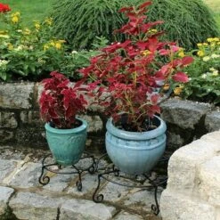 Flash Sale 🎁 4" Small Short Piazza Iron Plant Stand Black Powder 🧥 Coat Finish - Achla Designs 🎉 -Planters Sales Store unnamed file 7465