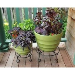 Flash Sale 🎁 4" Small Short Piazza Iron Plant Stand Black Powder 🧥 Coat Finish - Achla Designs 🎉 -Planters Sales Store unnamed file 7466
