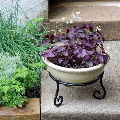 Promo 😉 9.5" Versatile Short Iron Stand for Planter, Birdbath, Gazing Ball Black - ACHLA Designs 😍 5 Promo 😉 9.5" Versatile Short Iron Stand for Planter, Birdbath, Gazing Ball Black - ACHLA Designs 😍 - Image 3