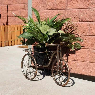 Cheap 🔥 Sunnydaze Decor Sunnydaze Indoor/Outdoor Rustic Metal Tricycle Standing Planter Basket for Front Yard, Porch, Garden, or in the Home - 12" - Brown ⌛ 3 Cheap 🔥 Sunnydaze Decor Sunnydaze Indoor/Outdoor Rustic Metal Tricycle Standing Planter Basket for Front Yard, Porch, Garden, or in the Home - 12" - Brown ⌛