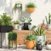 Discount ⌛ Indoor/Outdoor Square Iron Planter with Stand Black - Project 62™ 🥰