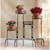 Best Sale 🥰 Zingz & Thingz 24.75" Indoor/Outdoor Metal Four-Tier Plant Stand Screen Black - Zings & Thingz 🧨 2 Best Sale 🥰 Zingz & Thingz 24.75" Indoor/Outdoor Metal Four-Tier Plant Stand Screen Black - Zings & Thingz 🧨 -Planters Sales Store unnamed file 7724