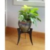 Best reviews of 🔥 12" Tall Small Indoor Outdoor Ibex Iron Plant Stand with Curved Legs Black Powder 🧥 Coat Finish - Achla Designs 🔔 -Planters Sales Store unnamed file 7919