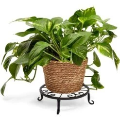 New ⌛ Farmlyn Creek 4 Pack Black Metal Plant Stand, Flower Pot Holder for Indoor & Outdoor, Garden or Home Decor, 9" x 2.7" 🥰 -Planters Sales Store unnamed file 8140