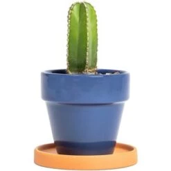 Best deal 🤩 Okuna Outpost 12 Pack Clay Terra Cotta Plant Pot Saucers, Round Terracotta Drip Trays 4.5-Inch ✨ -Planters Sales Store unnamed file 8148