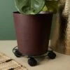 Best deal π₯ Bright Creations Metal Plant Caddy with Wheels for Indoor and Outdoor Pots (10.6 Inches, 4 Pack) π― 2 Best deal π₯ Bright Creations Metal Plant Caddy with Wheels for Indoor and Outdoor Pots (10.6 Inches, 4 Pack) π― -Planters Sales Store unnamed file 8151