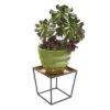 Brand new β€οΈ 14" Small Indoor Outdoor Arne Plant Stand with Copper Tray Black Powder π§₯ Coat Finish - Achla Designs π€© 1 Brand new β€οΈ 14" Small Indoor Outdoor Arne Plant Stand with Copper Tray Black Powder π§₯ Coat Finish - Achla Designs π€© -Planters Sales Store unnamed file 8162