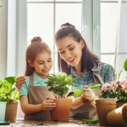 Budget 😍 Nature Spring Metal 2-Tier Tricycle Plant Stand - Matte Black ⌛ -Planters Sales Store unnamed file 8210