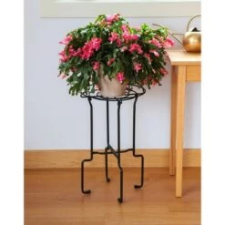 Discount 🔥 ACHLA Designs 23.5" Plant Stand Catalina Black Wrought Iron with Powder 🧥 Coated Finish 💯 -Planters Sales Store unnamed file 8215