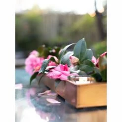 Hot Sale 😍 Gardener's Supply Company Rectangular Copper Plant Tray, 24" x 5" - GARDENER'S SUPPLY CO. 🔔 -Planters Sales Store unnamed file 8229