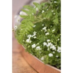 Best deal 🔥 Gardener's Supply Company Large Round Copper Plant Tray, 14 - GARDENER'S SUPPLY CO. 🌟