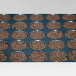 Budget ⌛ Grow Like a Pro Planting Kit - Buzzy Seeds 🥰