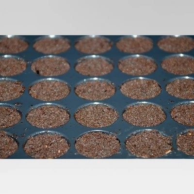 Budget β Grow Like a Pro Planting Kit - Buzzy Seeds π₯° 3 Budget β Grow Like a Pro Planting Kit - Buzzy Seeds π₯°