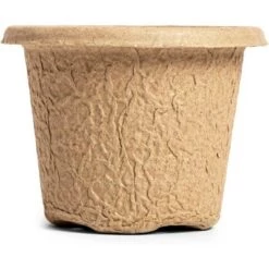 Buy π€© Juvale 50 Pack Round Seed Starter Peat Pots Biodegradable Seedling Tray with Plant Labels, 4.3 x 3.2 in π 12 Buy π€© Juvale 50 Pack Round Seed Starter Peat Pots Biodegradable Seedling Tray with Plant Labels, 4.3 x 3.2 in π -Planters Sales Store unnamed file 8249