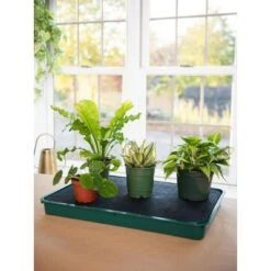 Discount ❤️ Self-Watering Tray - green - Gardener's Supply Company 💯 -Planters Sales Store unnamed file 8255