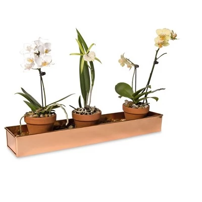 Best reviews of ๐งจ Gardener's Supply Company Rectangular Copper Plant Tray, 18x4 - GARDENER'S SUPPLY CO. ๐ 4 Best reviews of ๐งจ Gardener's Supply Company Rectangular Copper Plant Tray, 18x4 - GARDENER'S SUPPLY CO. ๐ - Image 2