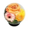 Buy ๐ 6.4" Glass Globe Vase Clear - ACHLA Designs โค๏ธ 2 Buy ๐ 6.4" Glass Globe Vase Clear - ACHLA Designs โค๏ธ -Planters Sales Store unnamed file 8305