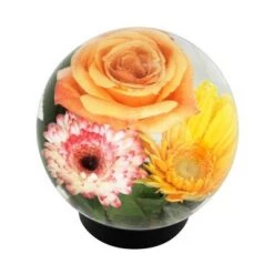 Buy ๐ 6.4" Glass Globe Vase Clear - ACHLA Designs โค๏ธ
