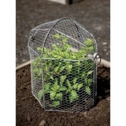 Best Sale ๐ 3-in-1 Chicken Long Wire Cloche Garden Protection, Two Section Each 18-1/2" L x 13-1/2" W x 8" H, Arrange 3 Ways - Gardener's Supply Company ๐