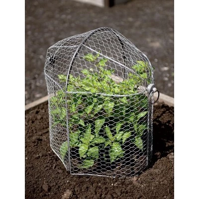 Best Sale ๐ 3-in-1 Chicken Long Wire Cloche Garden Protection, Two Section Each 18-1/2" L x 13-1/2" W x 8" H, Arrange 3 Ways - Gardener's Supply Company ๐ 3 Best Sale ๐ 3-in-1 Chicken Long Wire Cloche Garden Protection, Two Section Each 18-1/2" L x 13-1/2" W x 8" H, Arrange 3 Ways - Gardener's Supply Company ๐