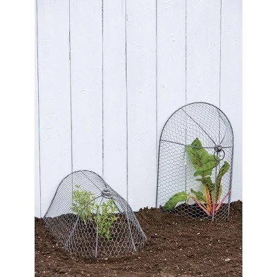 Best Sale ๐ 3-in-1 Chicken Long Wire Cloche Garden Protection, Two Section Each 18-1/2" L x 13-1/2" W x 8" H, Arrange 3 Ways - Gardener's Supply Company ๐ 4 Best Sale ๐ 3-in-1 Chicken Long Wire Cloche Garden Protection, Two Section Each 18-1/2" L x 13-1/2" W x 8" H, Arrange 3 Ways - Gardener's Supply Company ๐ - Image 2