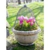 Best Pirce ๐ฅฐ Sturdy Chicken Wire Cloche, 16" in Diameter x 12-1/2" H for Plant Cover and Protection from Wildlife - Gardener's Supply Company ๐งจ 1 Best Pirce ๐ฅฐ Sturdy Chicken Wire Cloche, 16" in Diameter x 12-1/2" H for Plant Cover and Protection from Wildlife - Gardener's Supply Company ๐งจ -Planters Sales Store unnamed file 8312