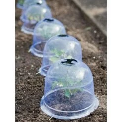 New ๐ฏ Medium Garden Cloches, Set of 6 - Gardener's Supply Company โจ