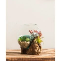 Buy 😍 Evergreen Beautiful Springtime Small Glass Planter on Driftwood Outdoor Decor - 7 x 6 x 6 Inches Fade and Weather Resistant Decoration 😀