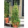 Brand new ✔️ Vine Trellis for Victory Self-Watering Planter with Support System - Gardener's Supply Company ⭐