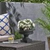 New ๐ฅ 8.5" Stefano Lightweight Concrete Patio Urn Planter Black - Christopher Knight Home ๐ฅ 2 New ๐ฅ 8.5" Stefano Lightweight Concrete Patio Urn Planter Black - Christopher Knight Home ๐ฅ -Planters Sales Store unnamed file 8366
