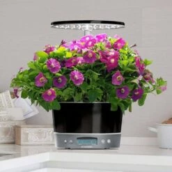 Budget ๐ AeroGarden Harvest Elite 360 Platinum ๐ 12 Budget ๐ AeroGarden Harvest Elite 360 Platinum ๐ -Planters Sales Store unnamed file 949