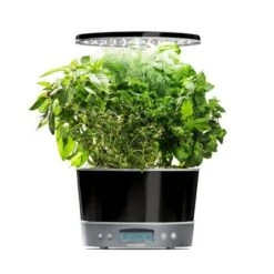 Budget ๐ AeroGarden Harvest Elite 360 Platinum ๐ 16 Budget ๐ AeroGarden Harvest Elite 360 Platinum ๐ -Planters Sales Store unnamed file 953
