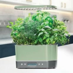 Budget 🎁 AeroGarden Harvest Elite Sage 👍 -Planters Sales Store unnamed file 965