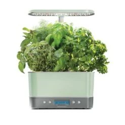 Budget 🎁 AeroGarden Harvest Elite Sage 👍 -Planters Sales Store unnamed file 968